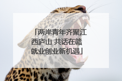 两岸青年齐聚江西庐山 共话在赣就业创业新机遇
