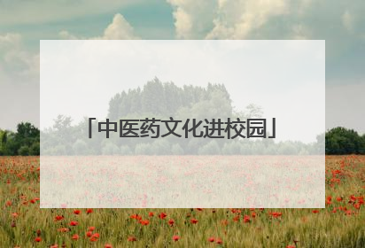 中医药文化进校园