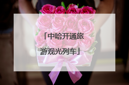 中哈开通旅游观光列车