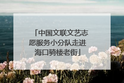 中国文联文艺志愿服务小分队走进海口骑楼老街