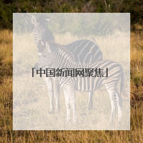 中国新闻网聚焦