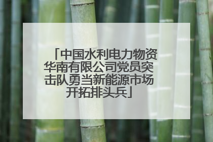 中国水利电力物资华南有限公司党员突击队勇当新能源市场开拓排头兵