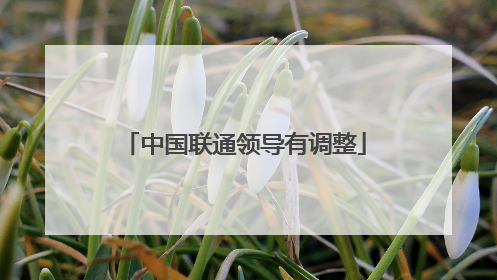 中国联通领导有调整