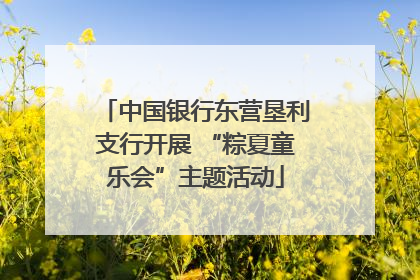 中国银行东营垦利支行开展 “粽夏童乐会”主题活动