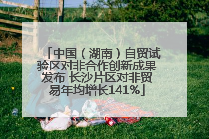 中国（湖南）自贸试验区对非合作创新成果发布 长沙片区对非贸易年均增长141%