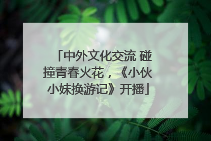 中外文化交流 碰撞青春火花，《小伙小妹换游记》开播