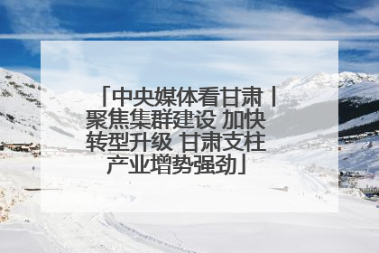 中央媒体看甘肃丨聚焦集群建设 加快转型升级 甘肃支柱产业增势强劲