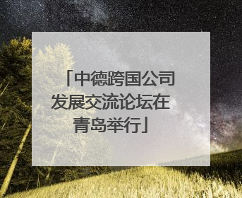 中德跨国公司发展交流论坛在青岛举行