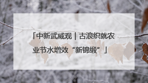 中新武威观｜古浪织就农业节水增效“新锦缎”