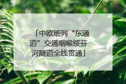 中欧班列“东通道”交通咽喉绥芬河隧道全线贯通