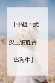 中超：武汉三镇胜青岛海牛