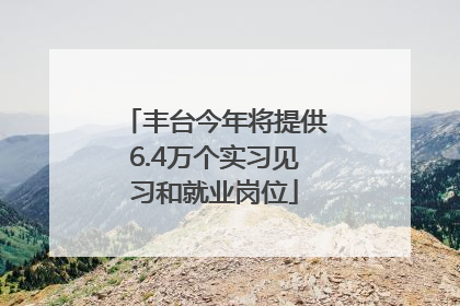 丰台今年将提供6.4万个实习见习和就业岗位