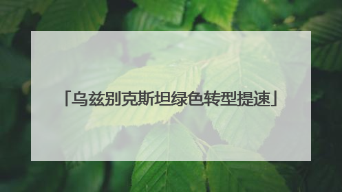 乌兹别克斯坦绿色转型提速