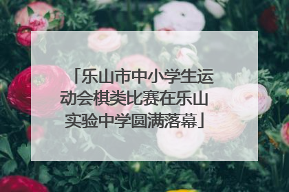 乐山市中小学生运动会棋类比赛在乐山实验中学圆满落幕
