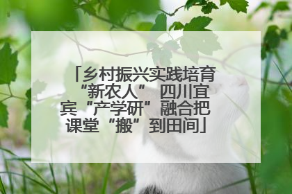 乡村振兴实践培育“新农人” 四川宜宾“产学研”融合把课堂“搬”到田间