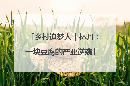 乡村追梦人｜林丹：一块豆腐的产业逆袭