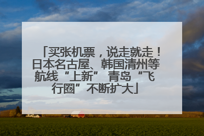 买张机票，说走就走！日本名古屋、韩国清州等航线“上新” 青岛“飞行圈”不断扩大