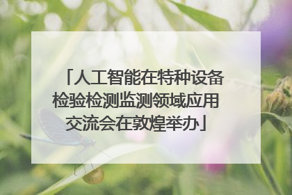 人工智能在特种设备检验检测监测领域应用交流会在敦煌举办