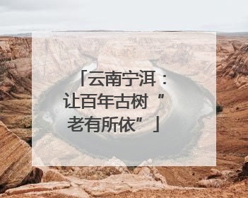 云南宁洱：让百年古树“老有所依”