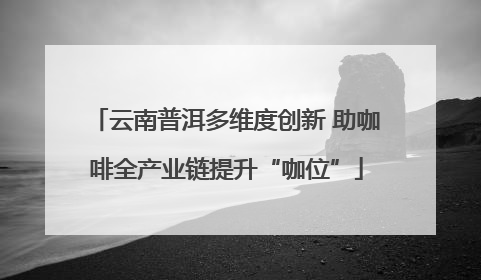 云南普洱多维度创新 助咖啡全产业链提升“咖位”