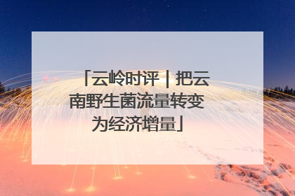 云岭时评｜把云南野生菌流量转变为经济增量