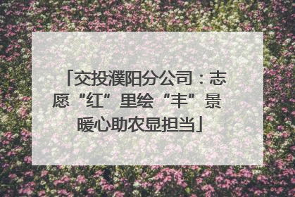 交投濮阳分公司：志愿“红”里绘“丰”景 暖心助农显担当