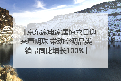 京东家电家居惊喜日迎来董明珠 带动空调品类销量同比增长100%