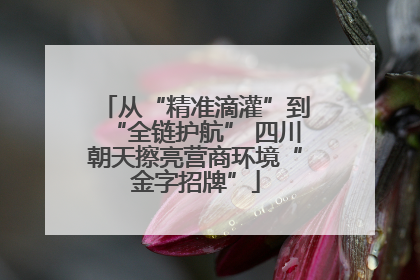 从“精准滴灌”到“全链护航” 四川朝天擦亮营商环境“金字招牌”