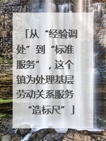 从“经验调处”到“标准服务”，这个镇为处理基层劳动关系服务“造标尺”