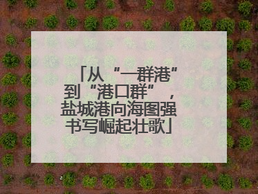 从“一群港”到“港口群”，盐城港向海图强书写崛起壮歌