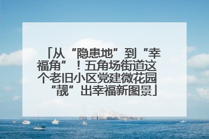从“隐患地”到“幸福角”！五角场街道这个老旧小区党建微花园“靓”出幸福新图景