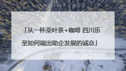 从一杯桑叶茶+咖啡 四川乐至如何端出助企发展的诚意