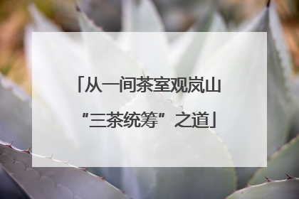 从一间茶室观岚山“三茶统筹”之道