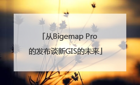 从Bigemap Pro的发布谈新GIS的未来