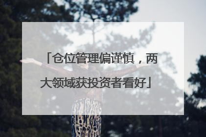 仓位管理偏谨慎，两大领域获投资者看好