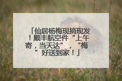 仙居杨梅现摘现发！顺丰航空件“上午寄，当天达”，“梅”好送到家！