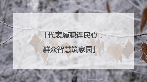 代表履职连民心，群众智慧筑家园