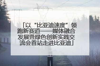 以“比亚迪速度”领跑新赛道——媒体融合发展暨绿色创新实践交流会首站走进比亚迪