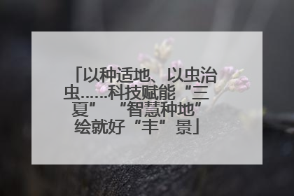 以种适地、以虫治虫……科技赋能“三夏” “智慧种地”绘就好“丰”景