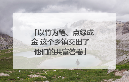 以竹为笔、点绿成金 这个乡镇交出了他们的共富答卷