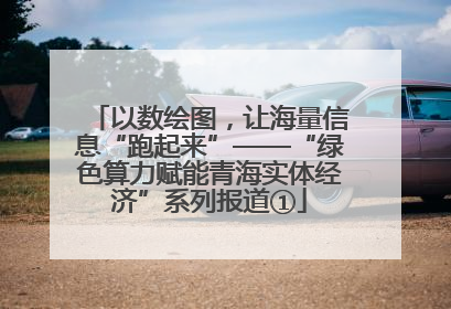 以数绘图，让海量信息“跑起来”——“绿色算力赋能青海实体经济”系列报道①