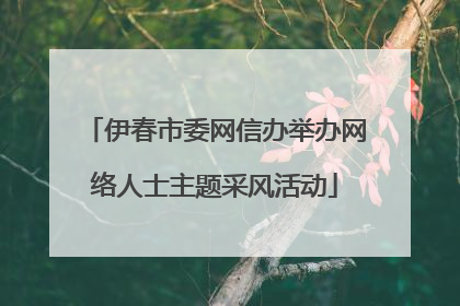 伊春市委网信办举办网络人士主题采风活动