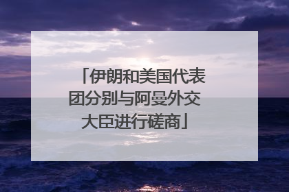 伊朗和美国代表团分别与阿曼外交大臣进行磋商
