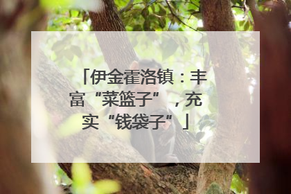 伊金霍洛镇：丰富“菜篮子”，充实“钱袋子”