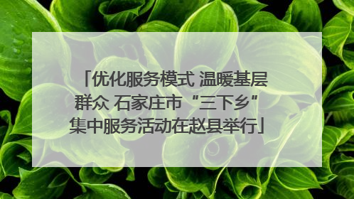 优化服务模式 温暖基层群众 石家庄市“三下乡”集中服务活动在赵县举行