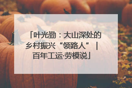 叶光勤：大山深处的乡村振兴“领路人”｜百年工运·劳模说