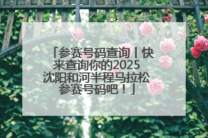 参赛号码查询丨快来查询你的2025沈阳和河半程马拉松参赛号码吧！