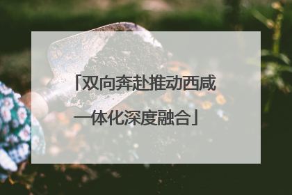 双向奔赴推动西咸一体化深度融合