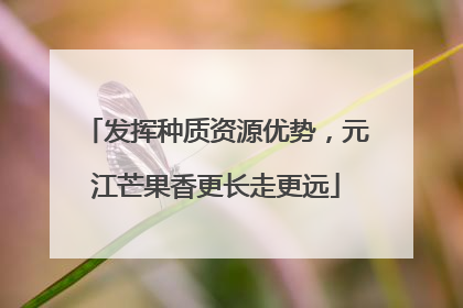 发挥种质资源优势，元江芒果香更长走更远