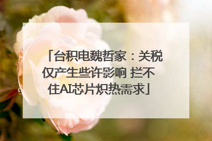 台积电魏哲家：关税仅产生些许影响 拦不住AI芯片炽热需求